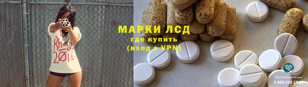 индика Горнозаводск