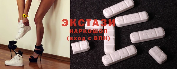 индика Горнозаводск