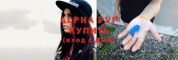 индика Горнозаводск