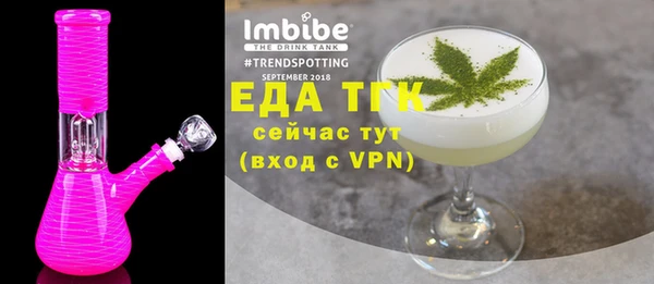 индика Горнозаводск