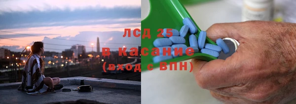 индика Горнозаводск