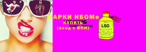 индика Горнозаводск