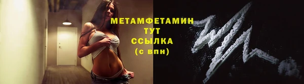 индика Горнозаводск
