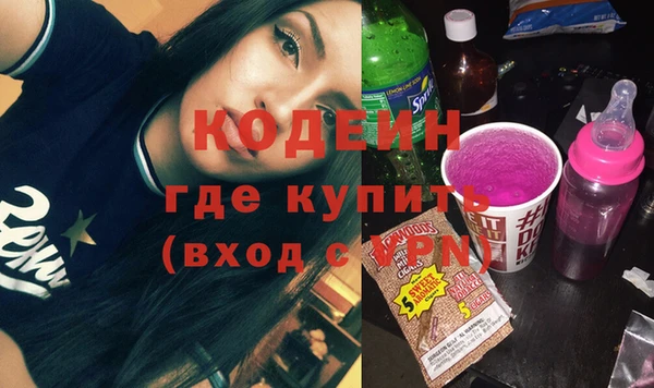 индика Горнозаводск