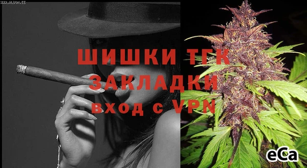 индика Горнозаводск
