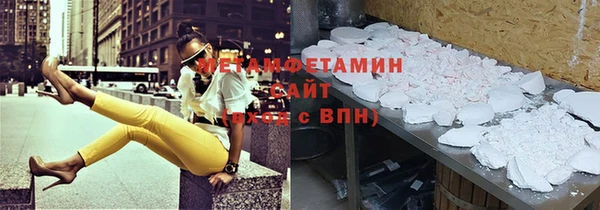 индика Горнозаводск