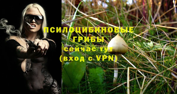 индика Горнозаводск