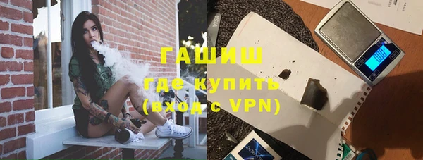 индика Горнозаводск