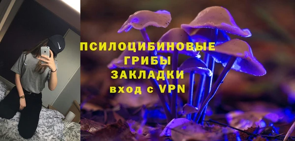индика Горнозаводск