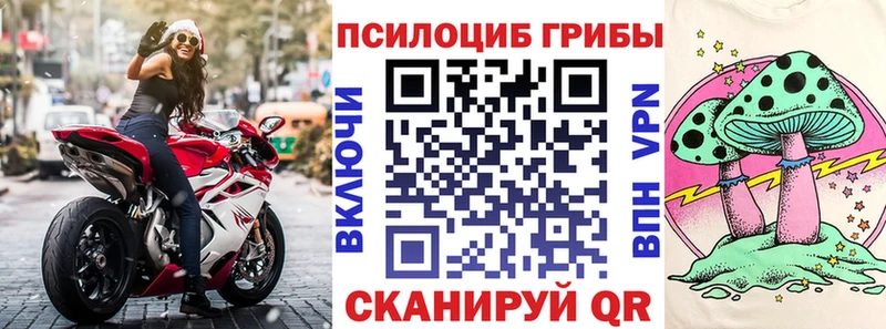 Псилоцибиновые грибы мицелий  Черняховск 